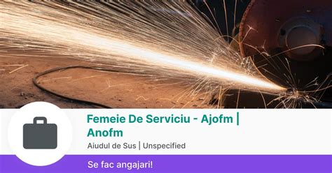 femeie de serviciu constanta|femeie serviciu